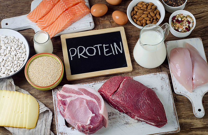 Nên bổ sung đầy đủ protein cho mỗi bữa ăn