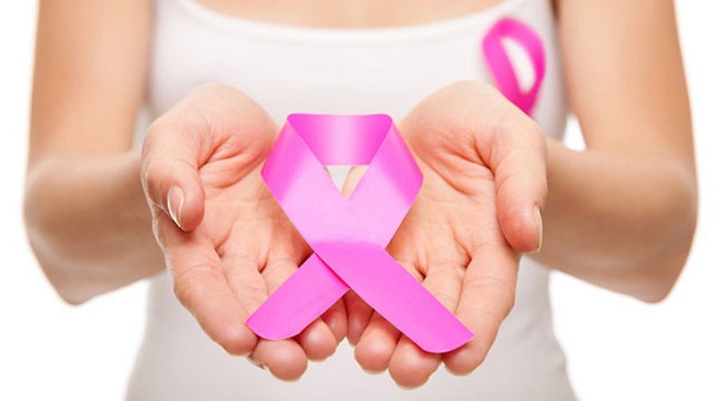 Cỏ ngọt có tác dụng trong phòng ngừa ung thư vú