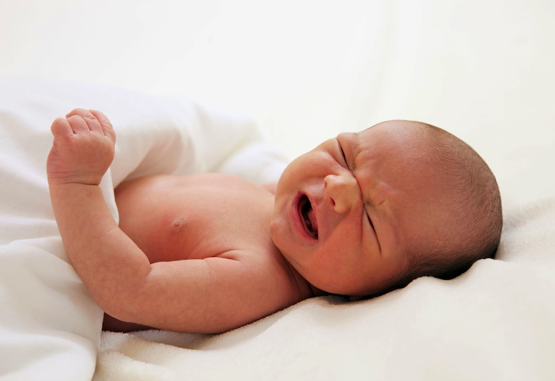 Cấu trúc mũi nhỏ hẹp cũng là một trong các nguyên nhân khiến trẻ sơ sinh hay hắt xì