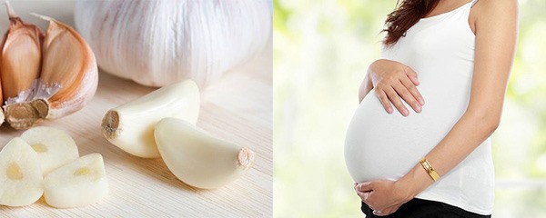 Những loại thảo dược cần tránh khi mang thai - Ảnh 2.